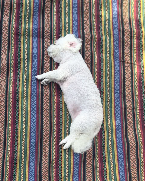 Som stretched out sideways on a striped mat
